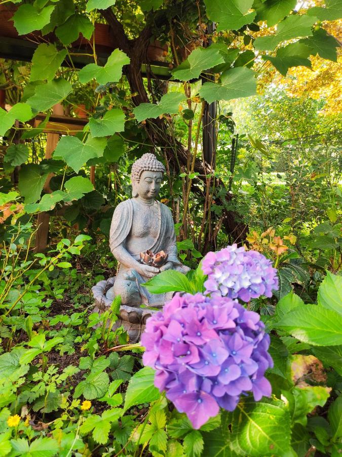 Homestay Modernes Am Park Mit Garten, Huehner & Enten Munich