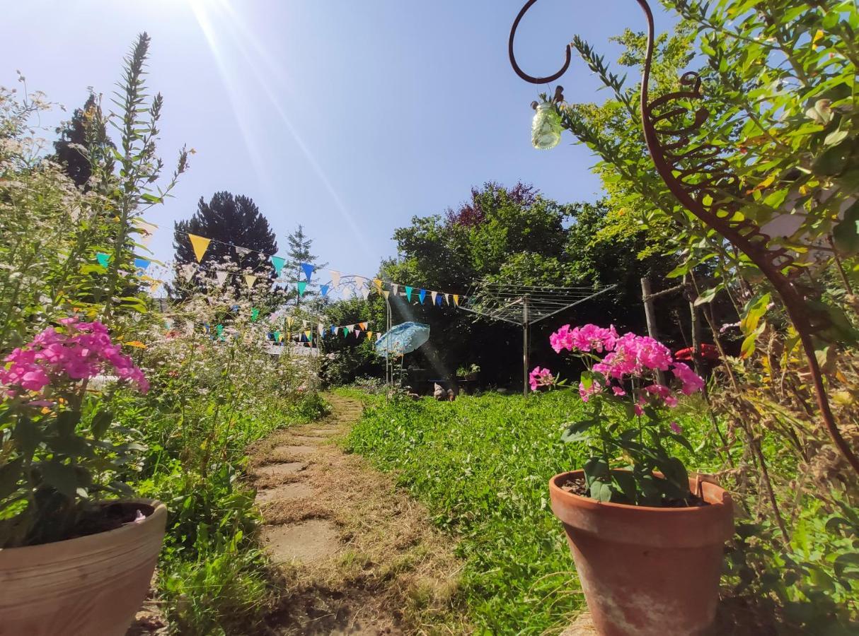 Homestay Modernes Am Park Mit Garten, Huehner & Enten
